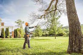 Best Tree Risk Assessment  in National City, CA