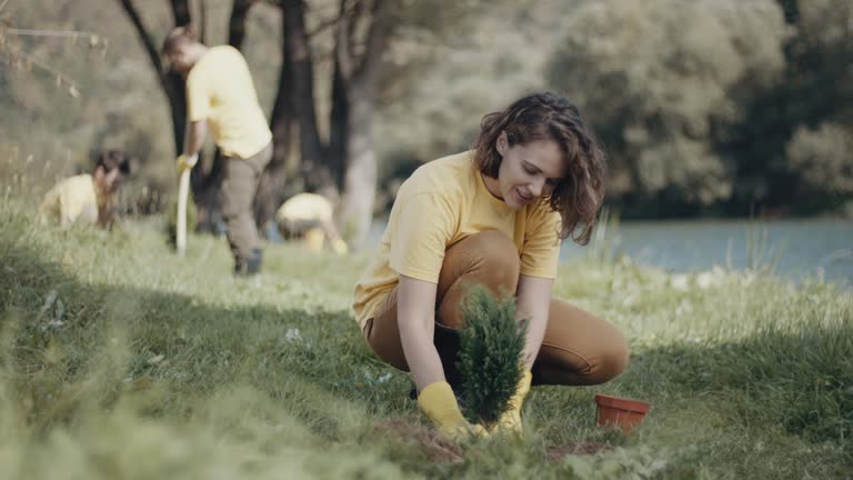Lawn Watering Services in National City, CA