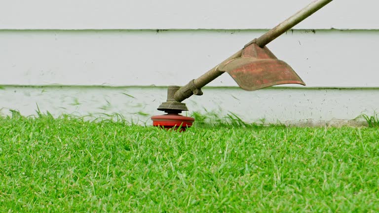 National City, CA Tree Services Company